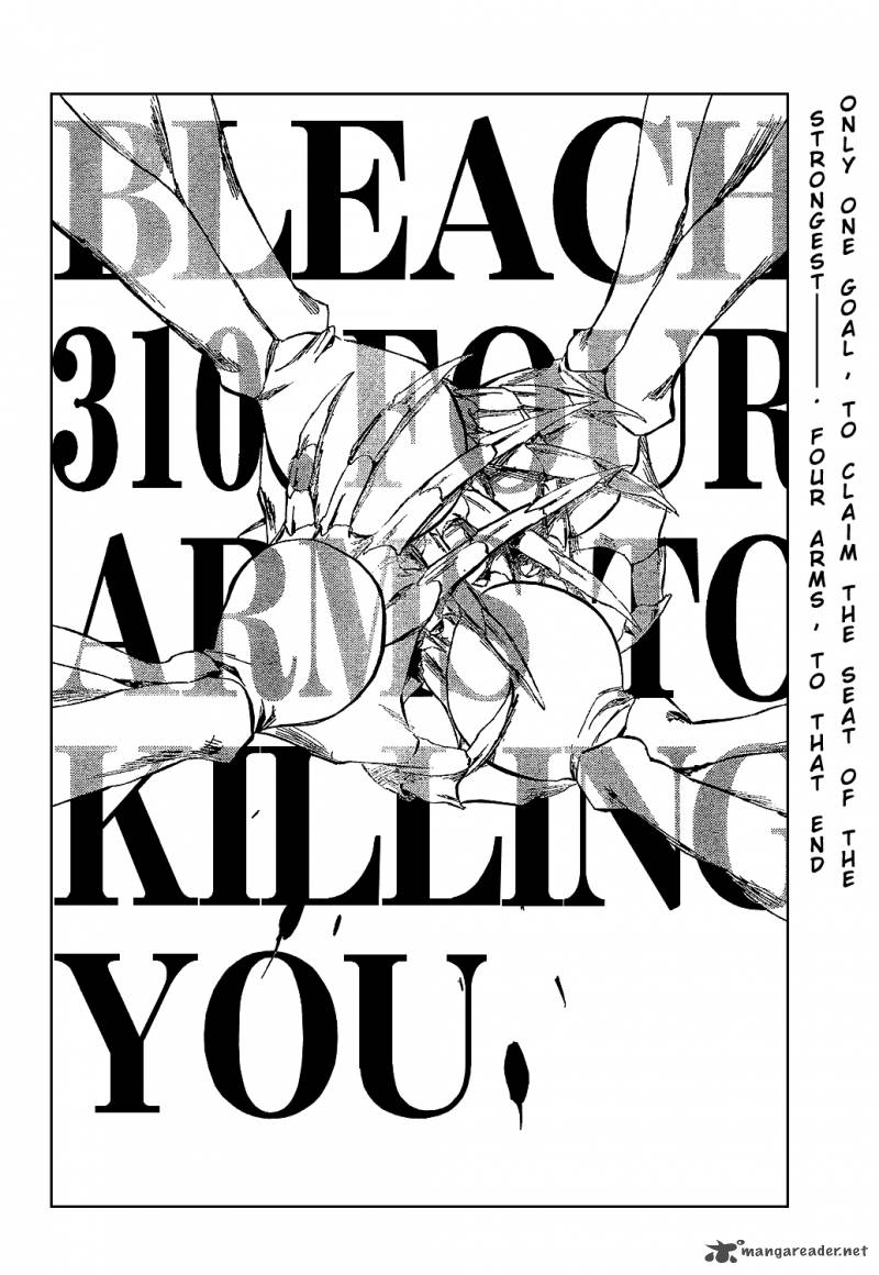 Bleach 310 6