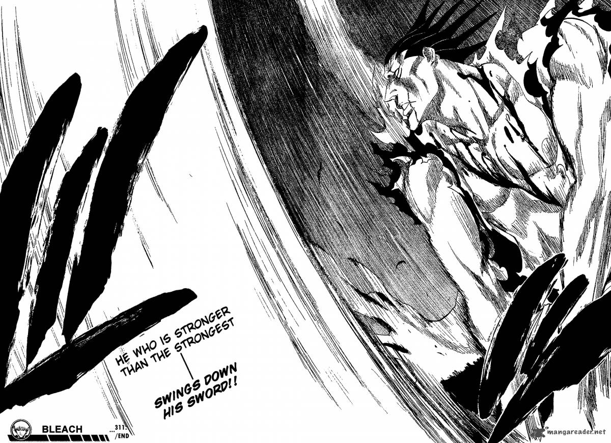 Bleach 311 20
