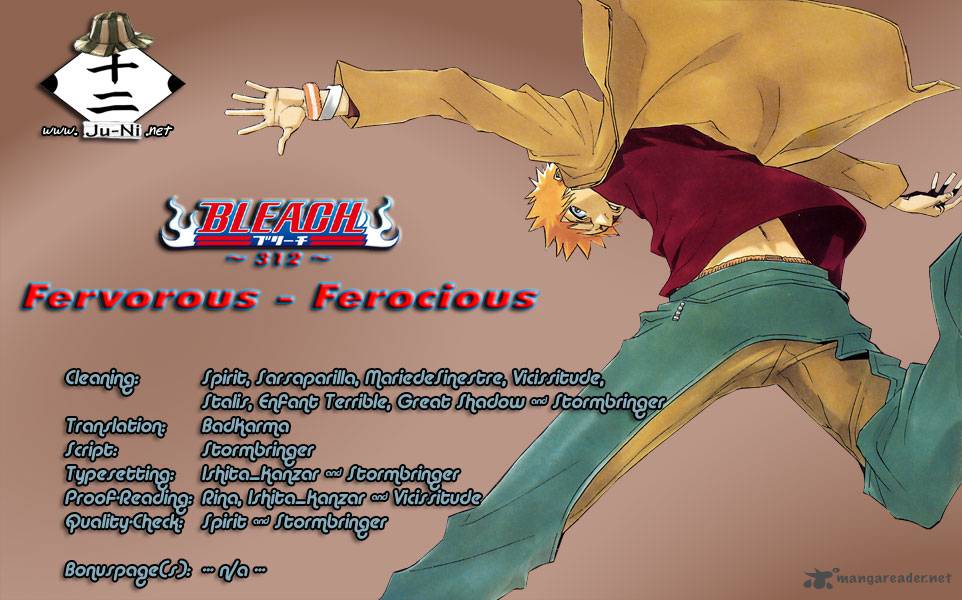 Bleach 312 1