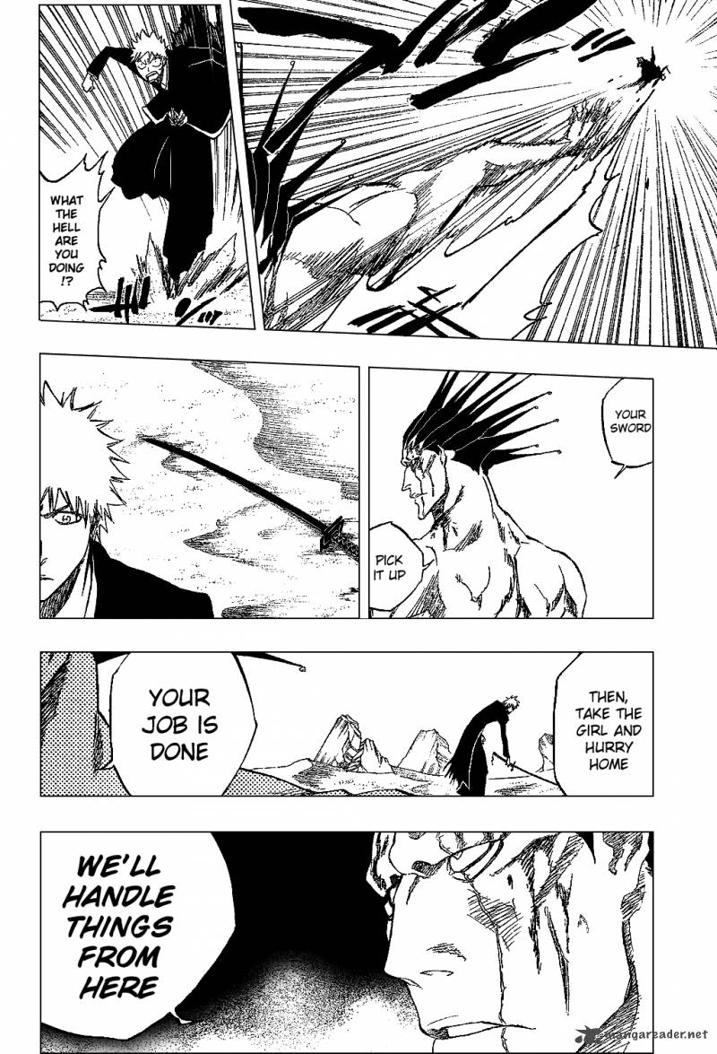 Bleach 313 14