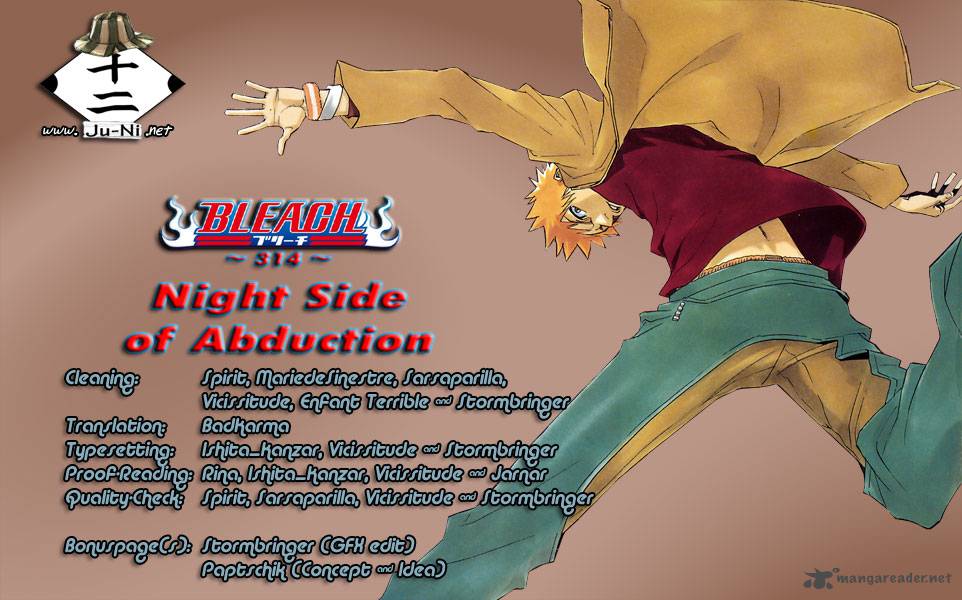 Bleach 314 1