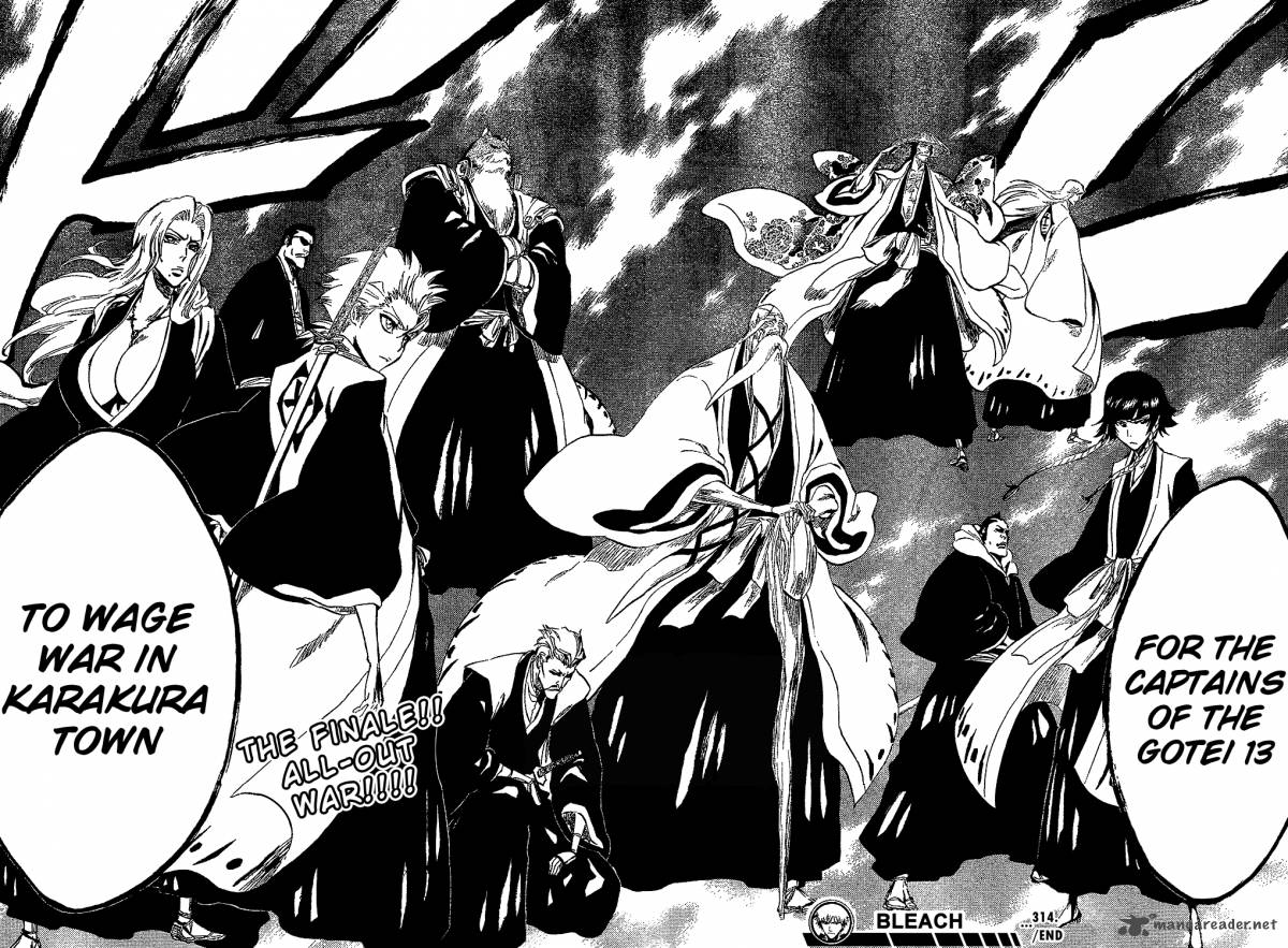 Bleach 314 18