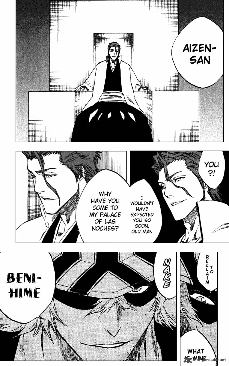 Bleach 314 21