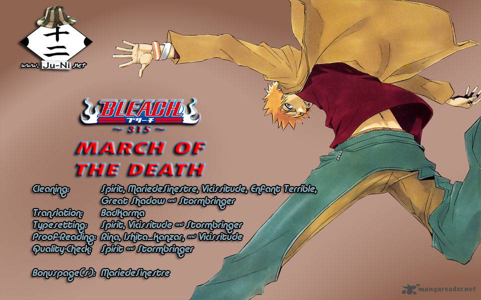 Bleach 315 1