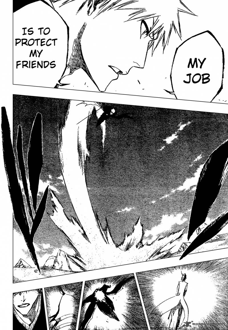 Bleach 315 17