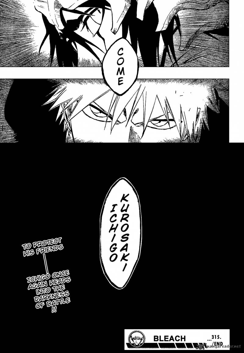 Bleach 315 18