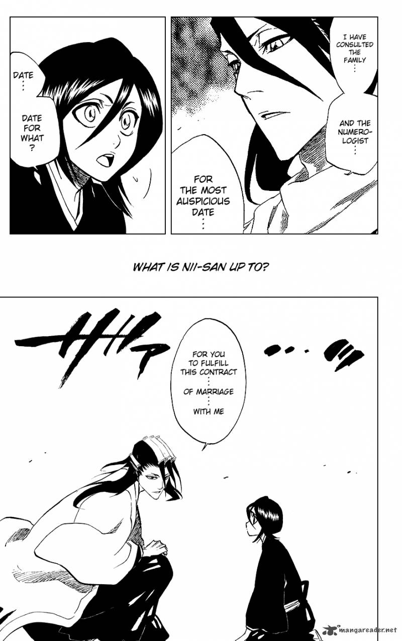 Bleach 315 19