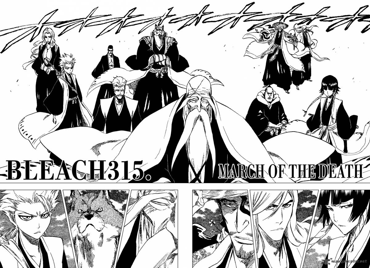 Bleach 315 4