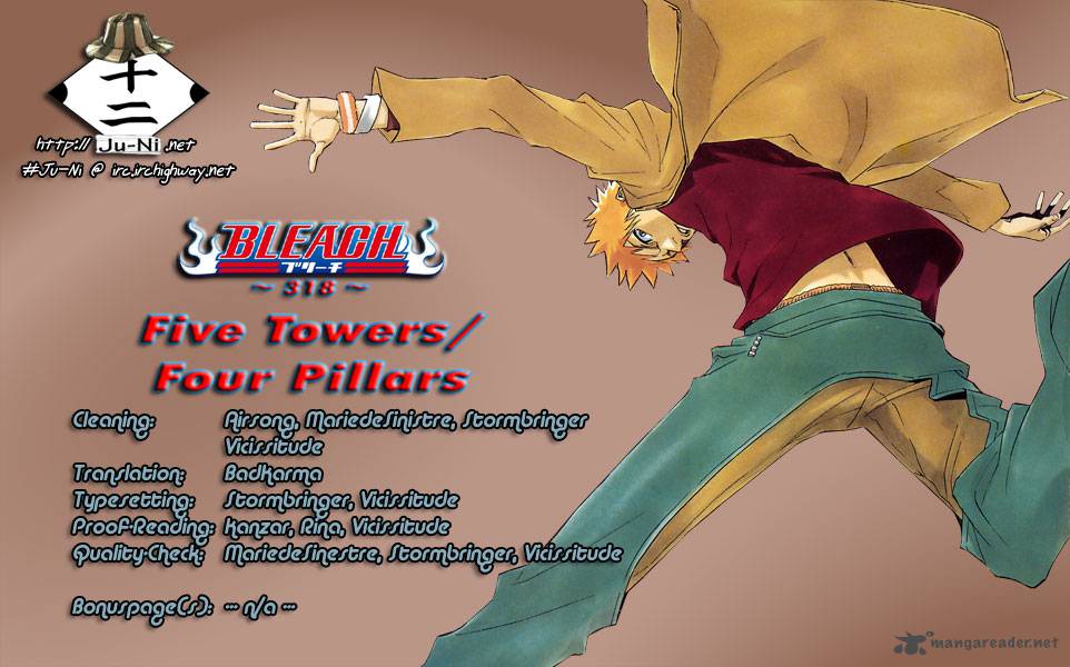 Bleach 318 1