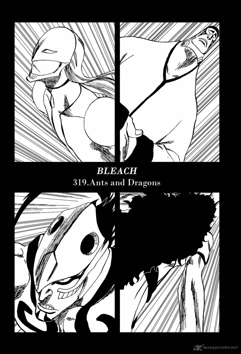 Bleach 319 10
