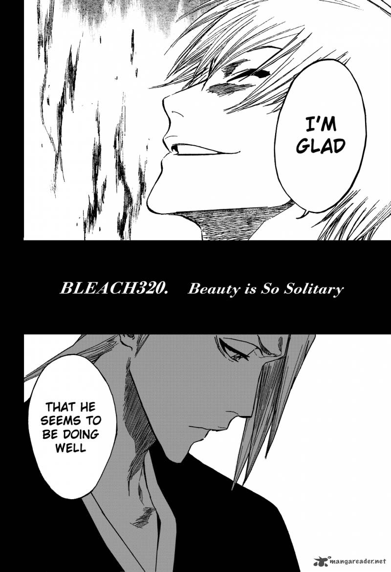Bleach 320 5