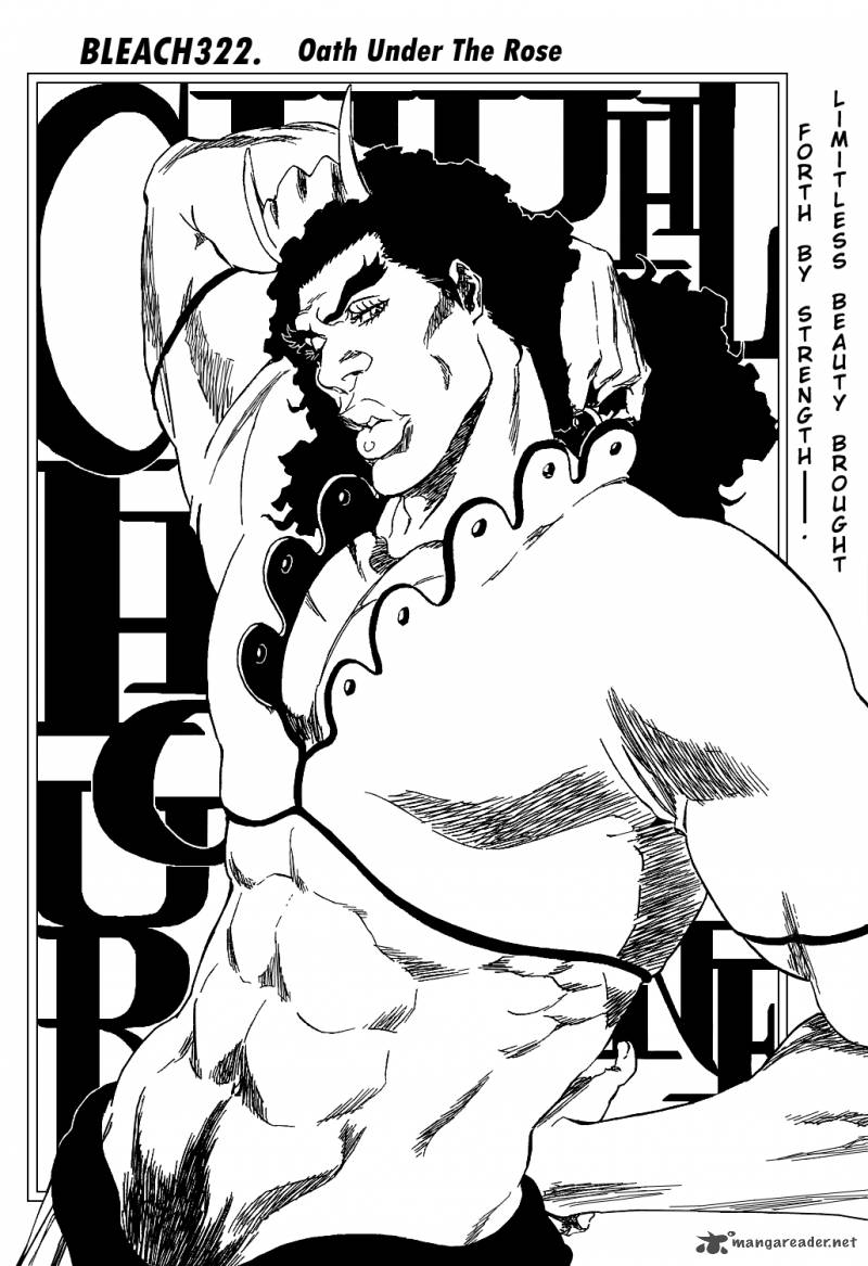 Bleach 322 11