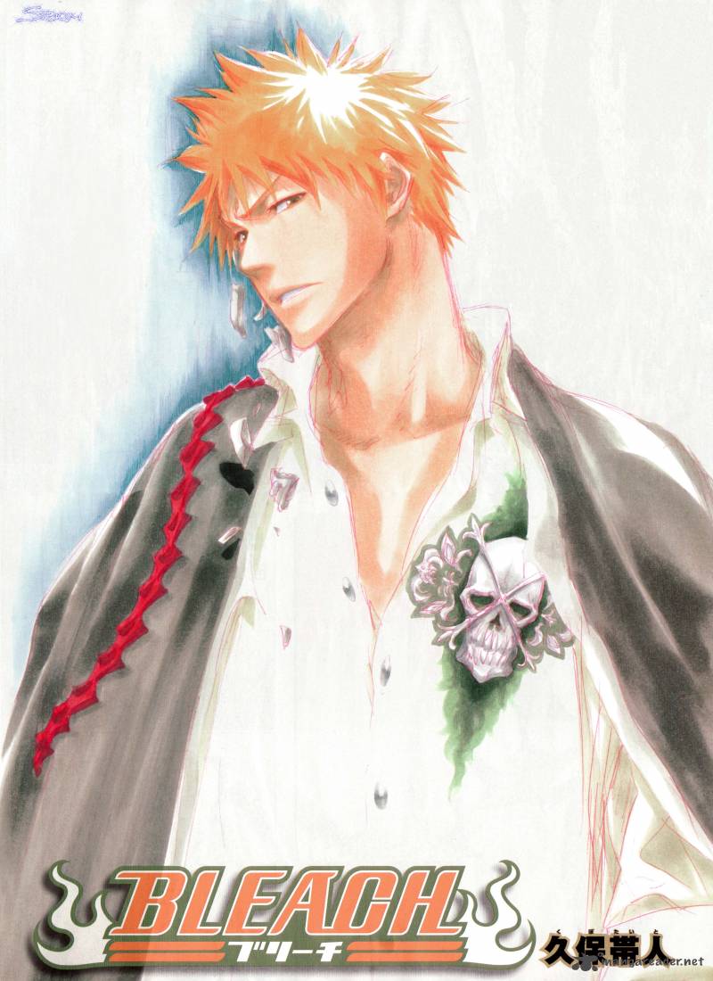 Bleach 323 24
