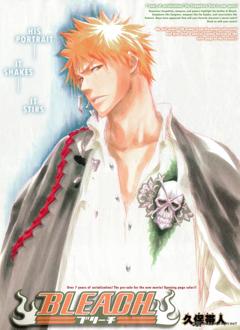 Bleach 323 4