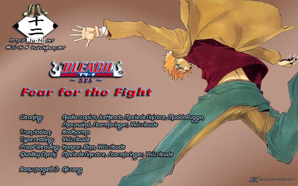 Bleach 325 1