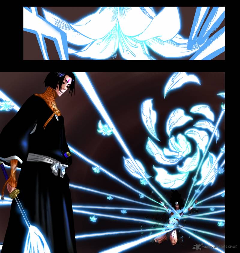Bleach 325 22