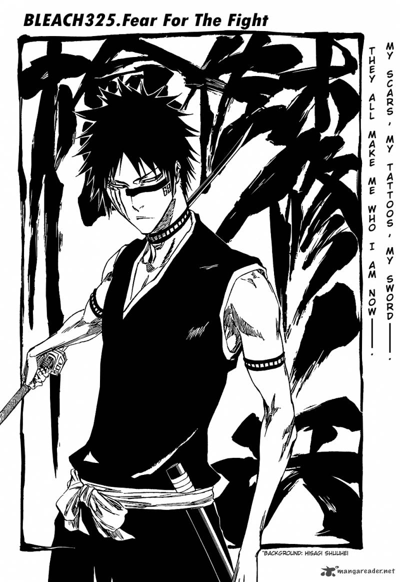 Bleach 325 8