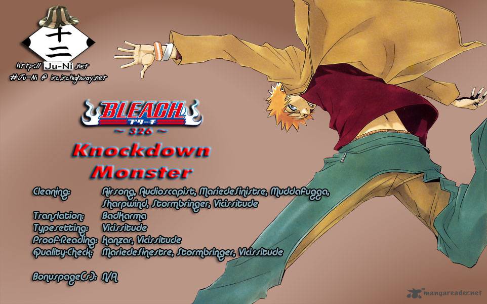 Bleach 326 1