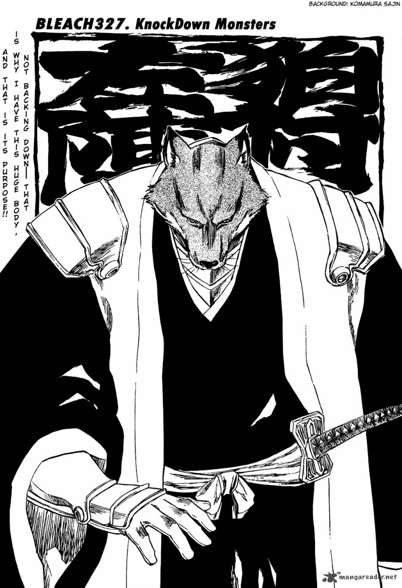 Bleach 327 13