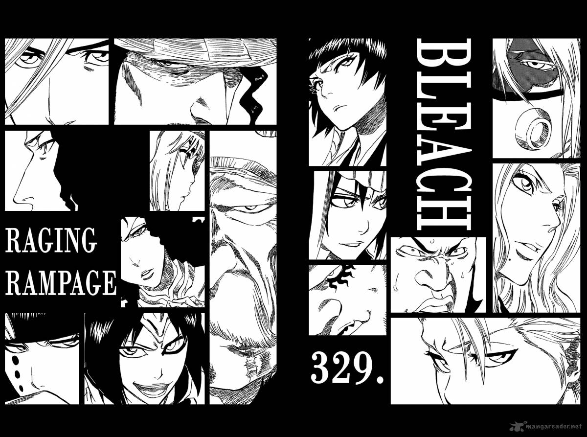 Bleach 329 11