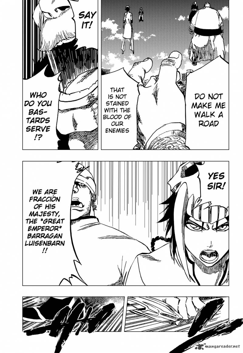 Bleach 329 13