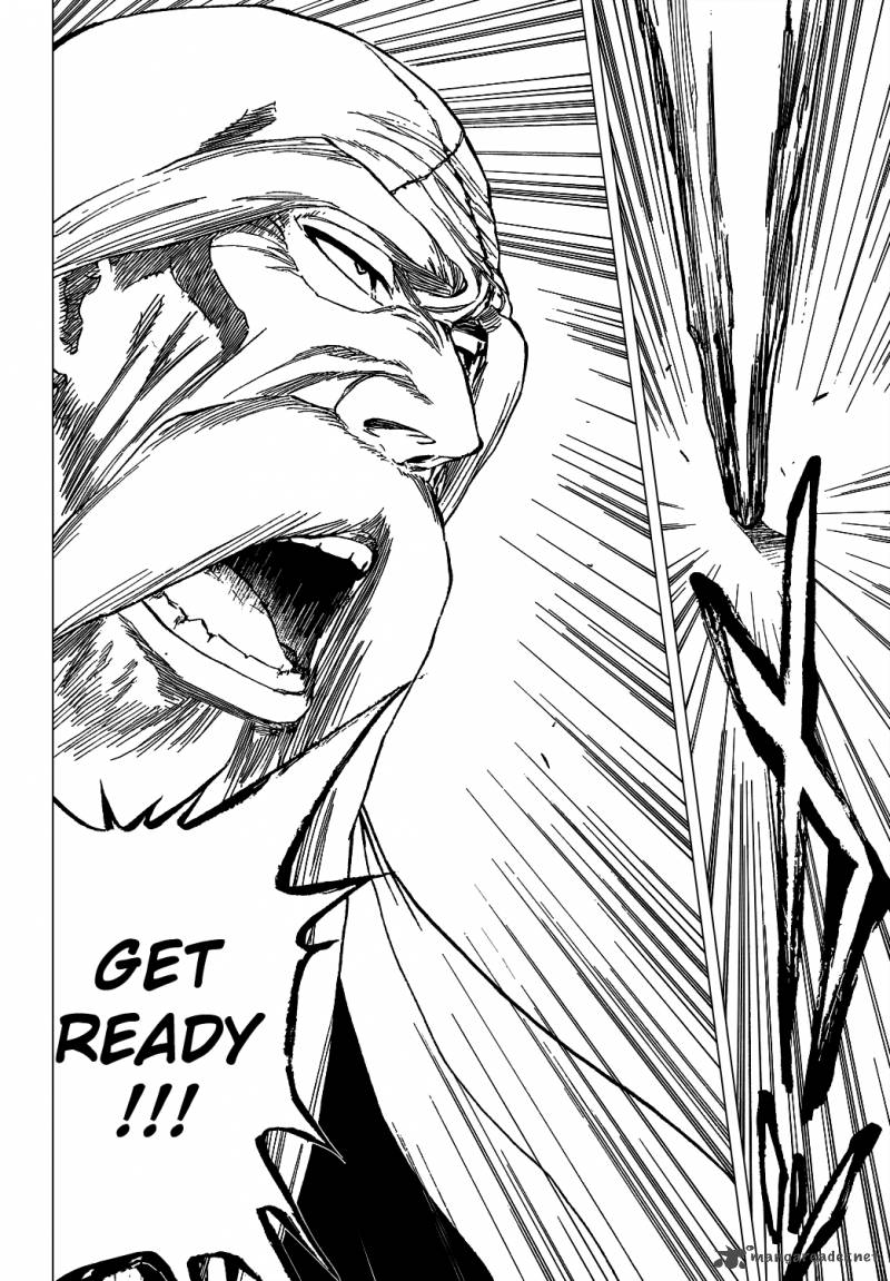 Bleach 329 5