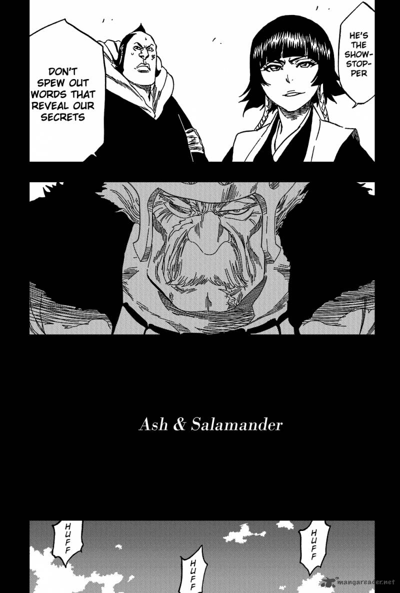 Bleach 333 16