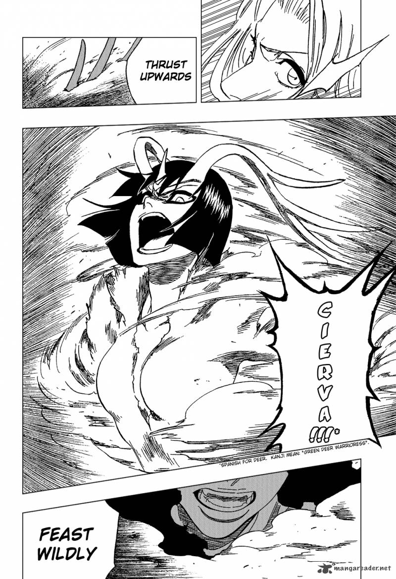 Bleach 335 19