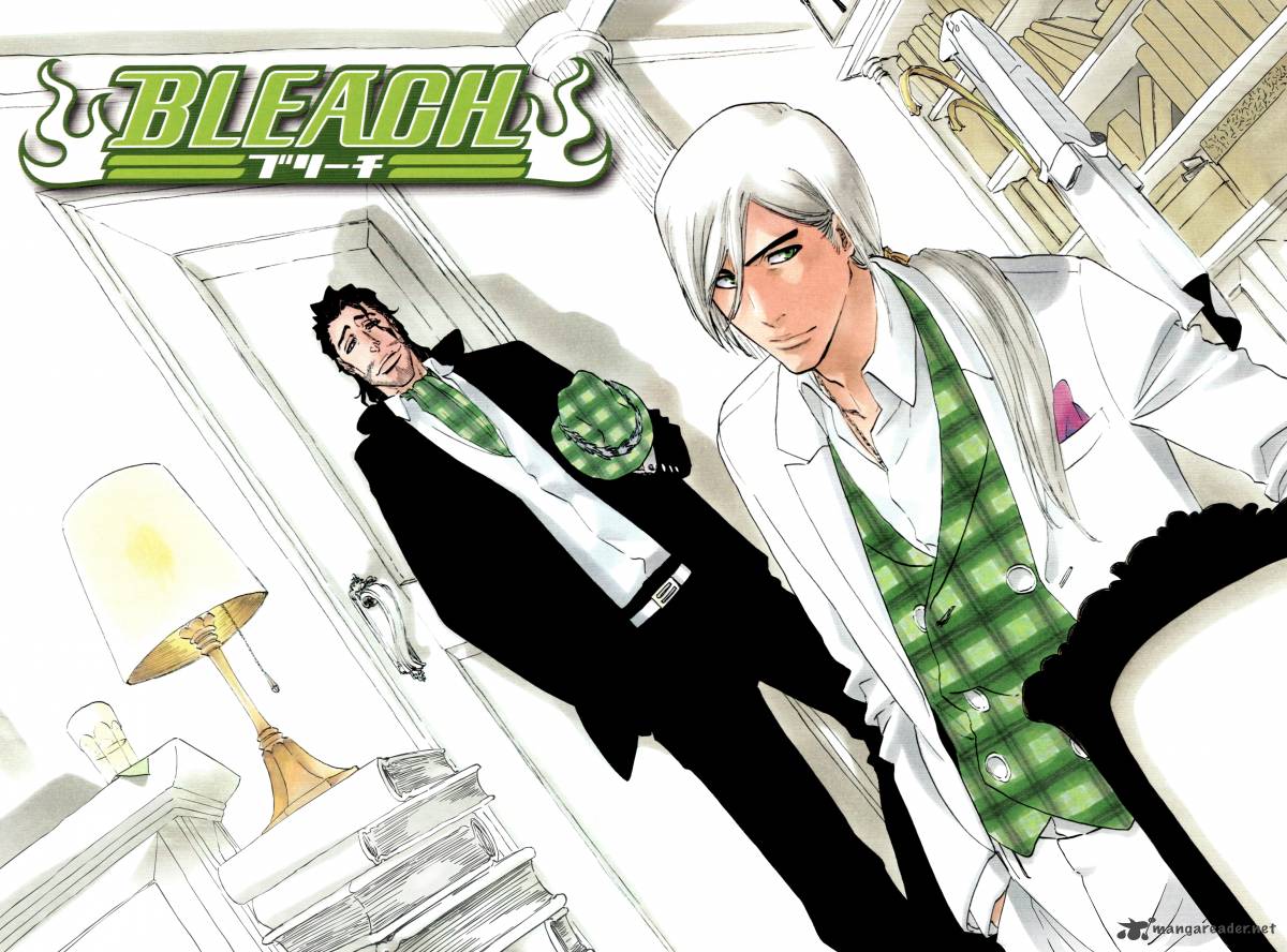 Bleach 335 25