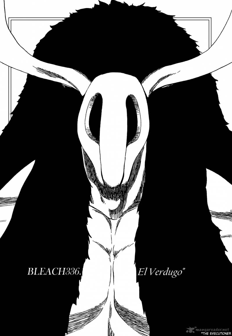 Bleach 336 11
