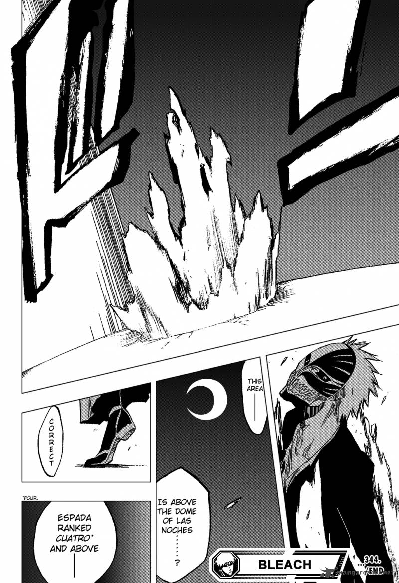 Bleach 344 21