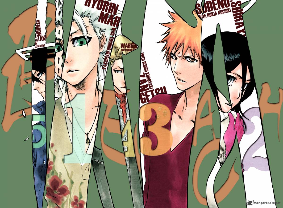 Bleach 348 24