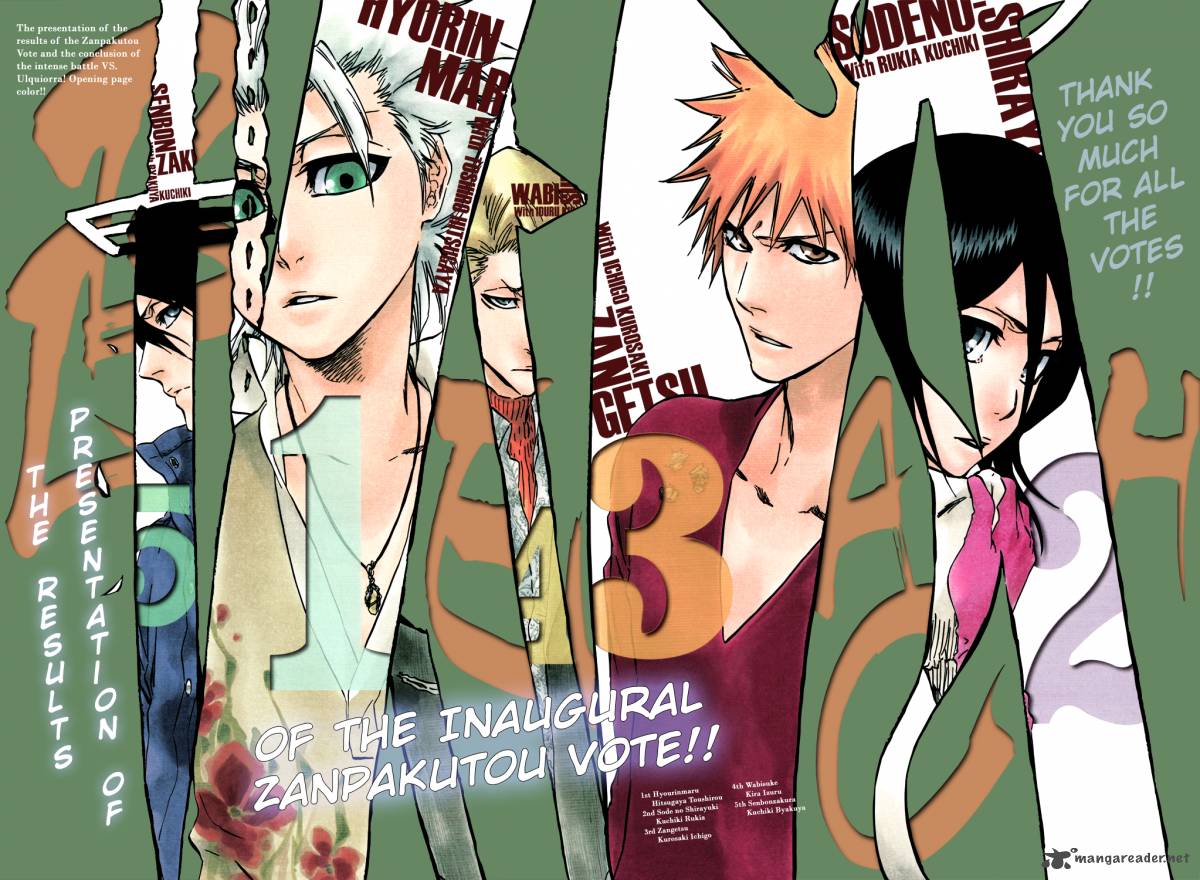 Bleach 348 5