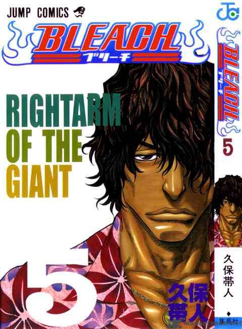 Bleach 35 1