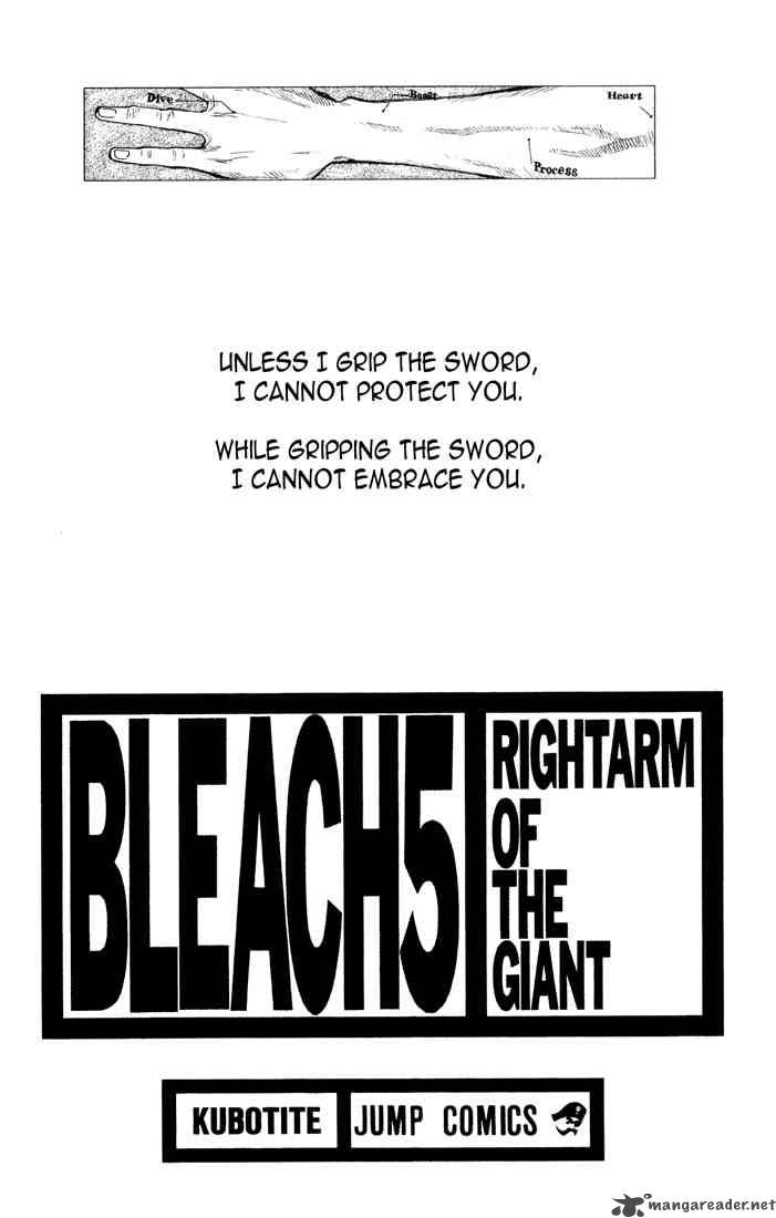 Bleach 35 2