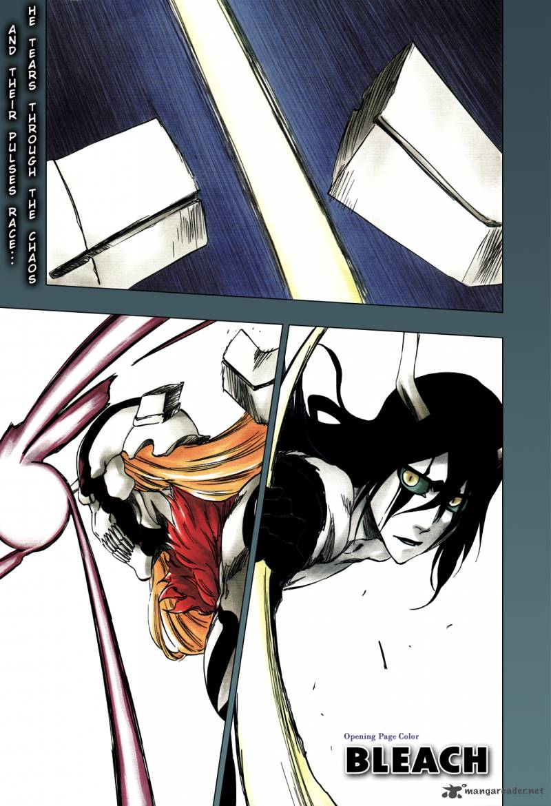 Bleach 353 4