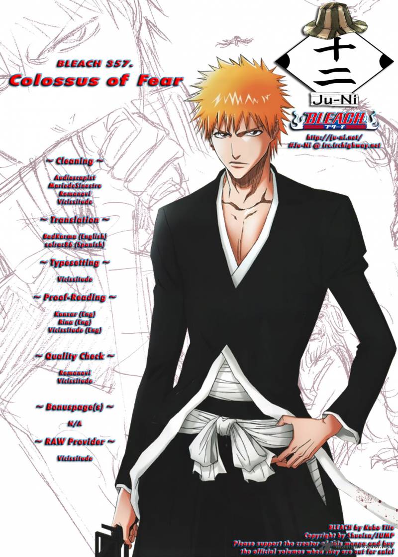 Bleach 357 1