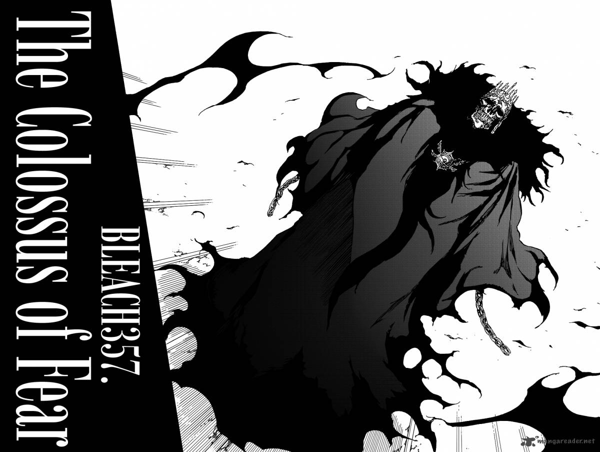 Bleach 357 5