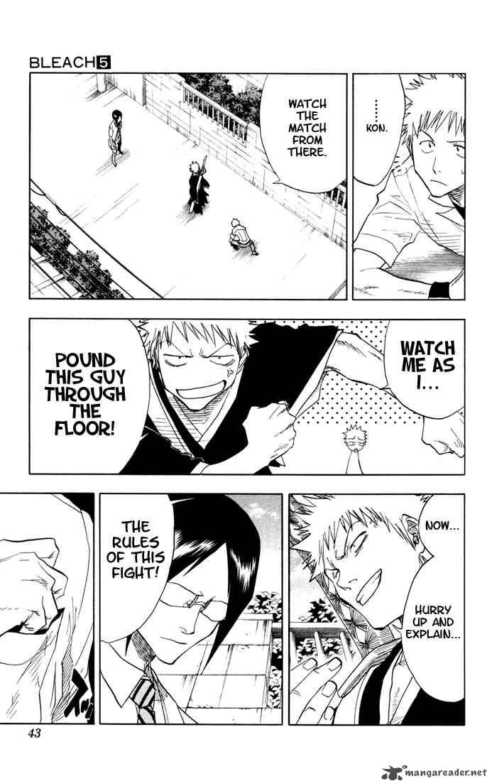 Bleach 36 17
