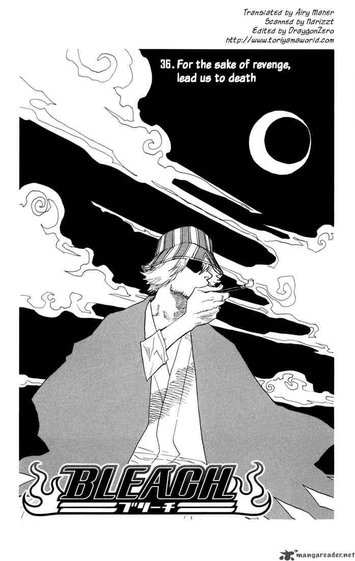 Bleach 36 2