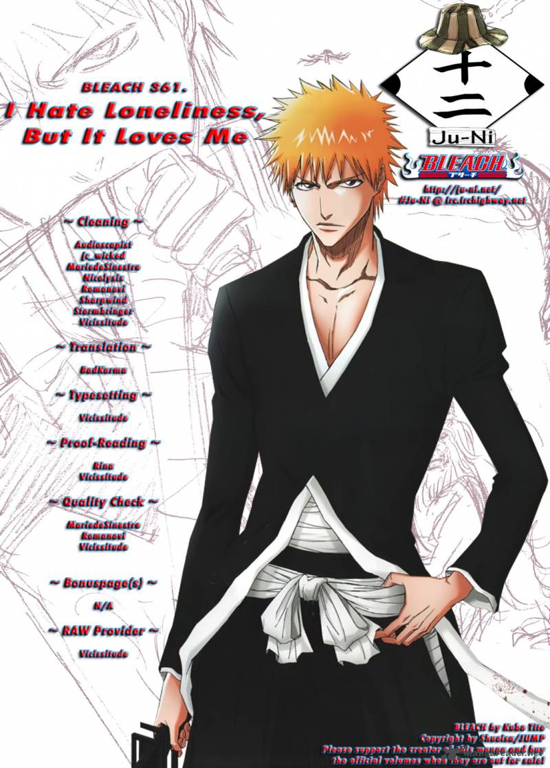 Bleach 361 1