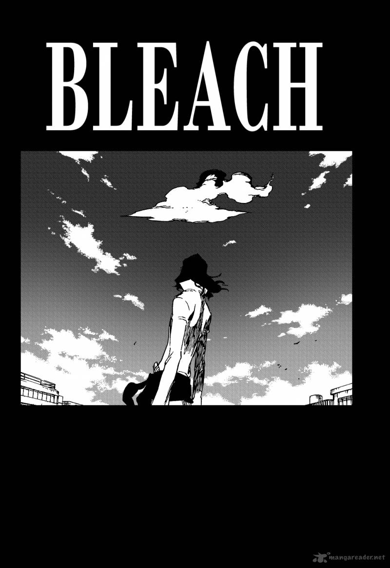 Bleach 361 11