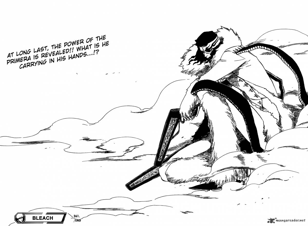 Bleach 361 21
