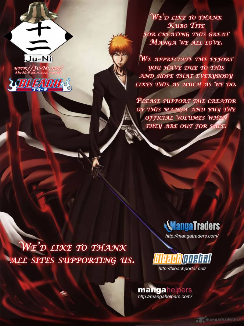Bleach 361 3