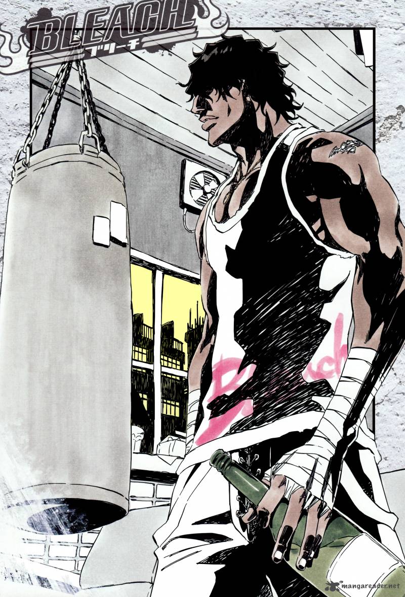Bleach 363 23