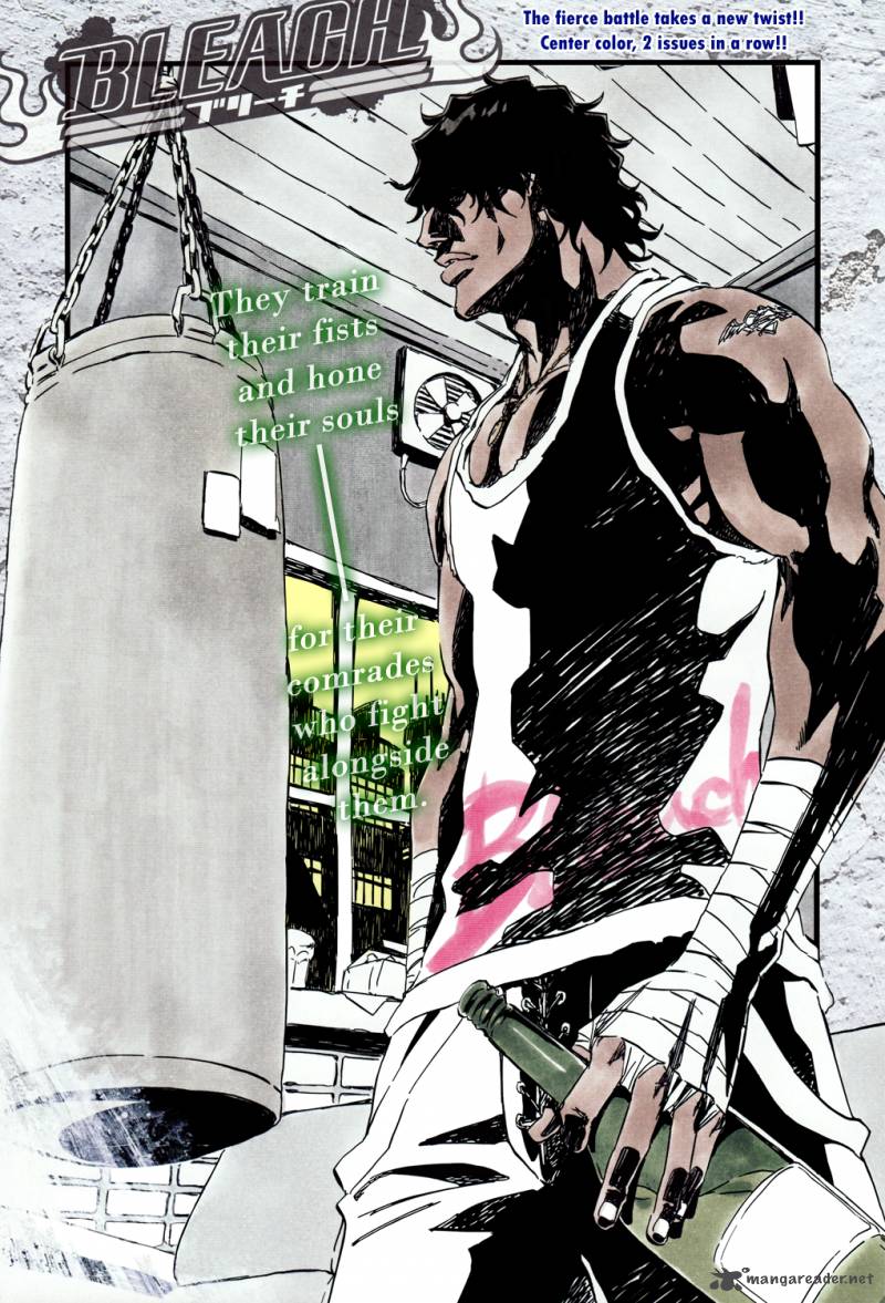 Bleach 363 4