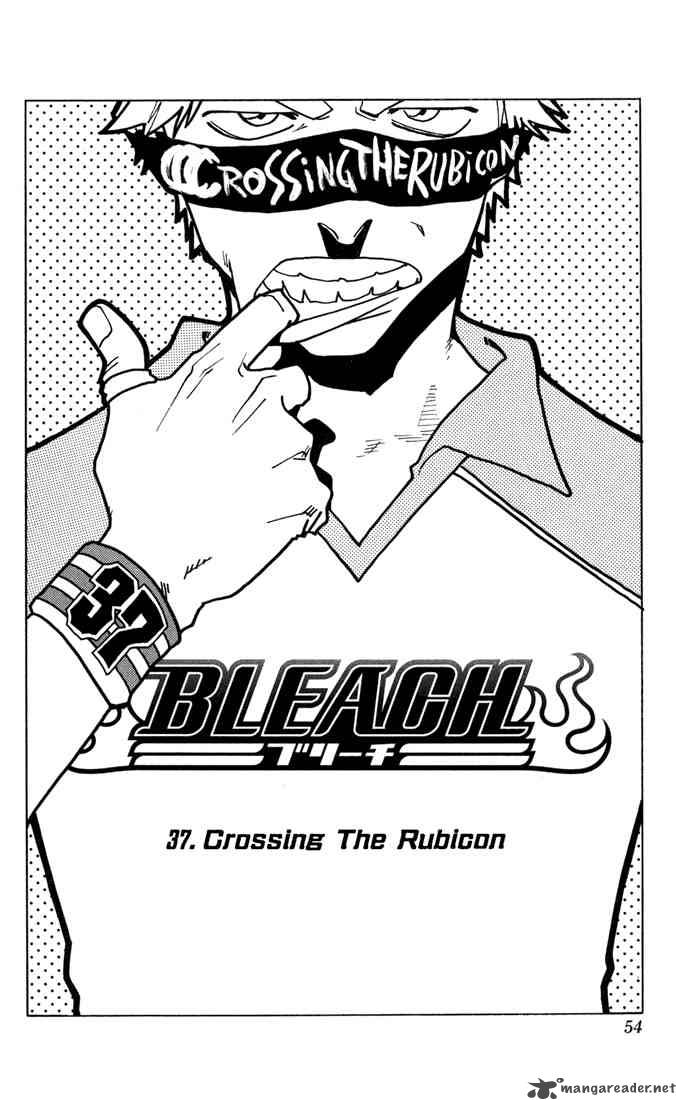Bleach 37 9