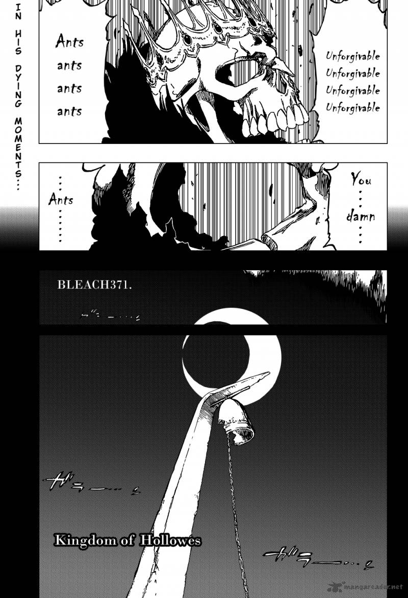 Bleach 371 4