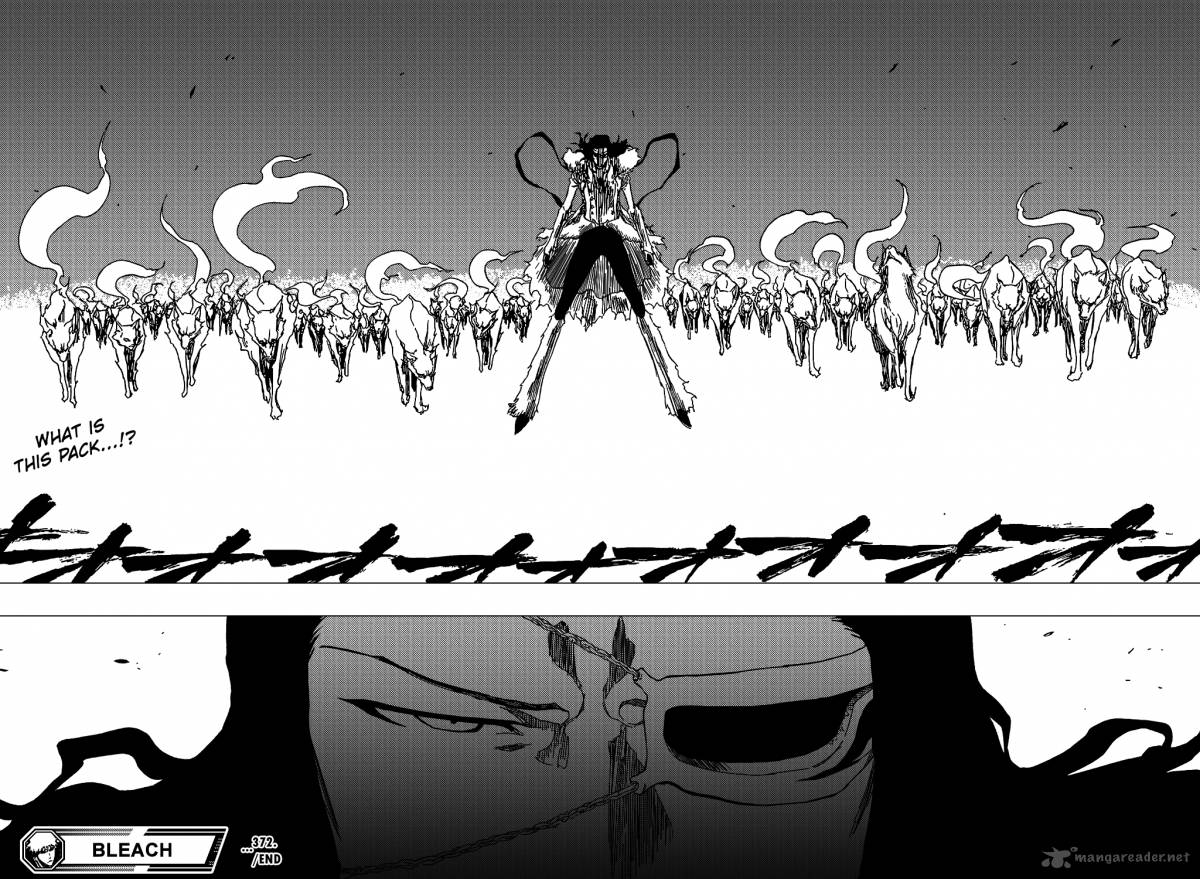 Bleach 372 20