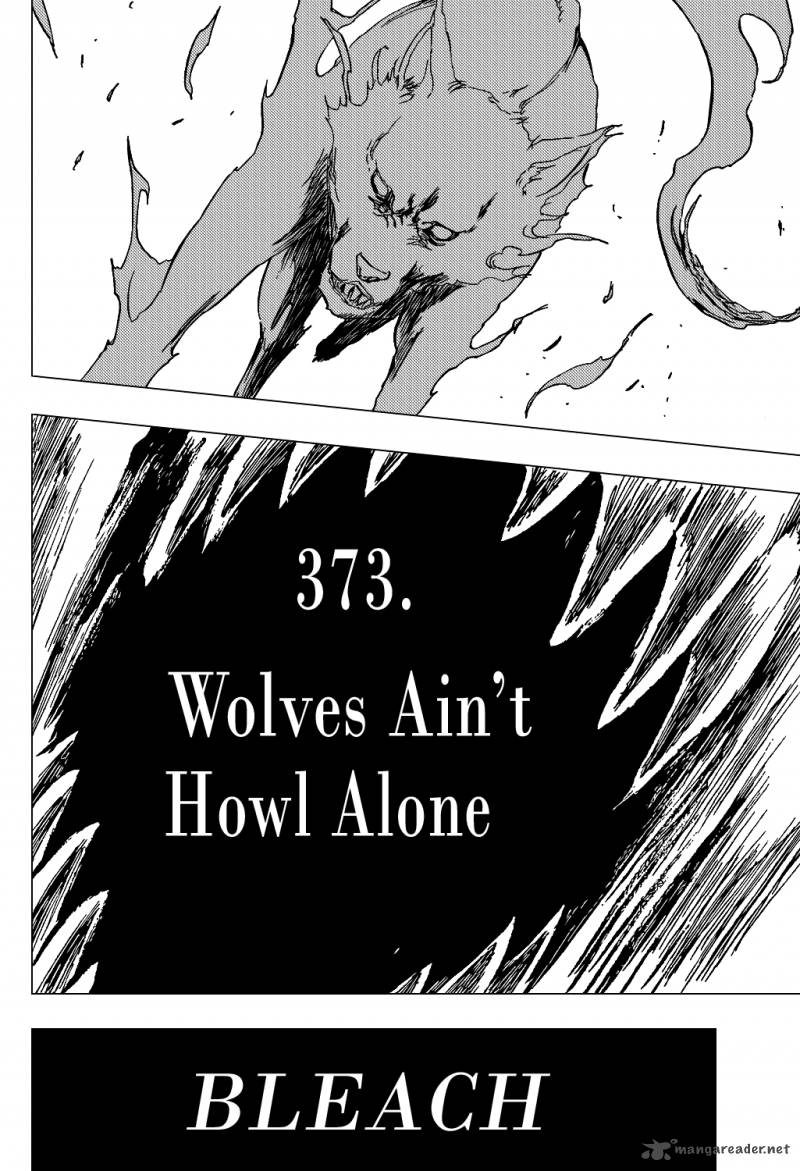 Bleach 373 7
